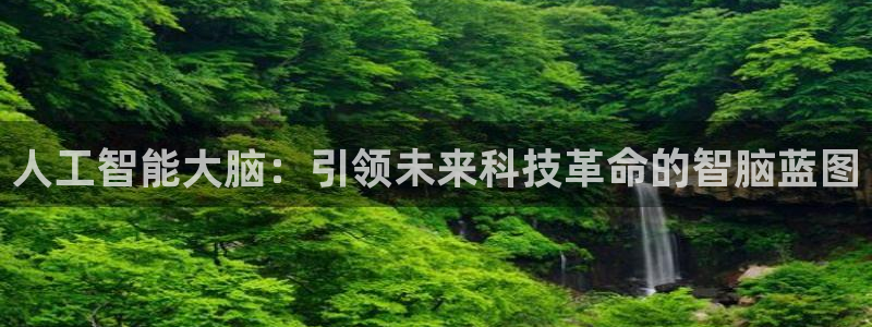 人工智能大脑：引领未来科技革命的智脑蓝图