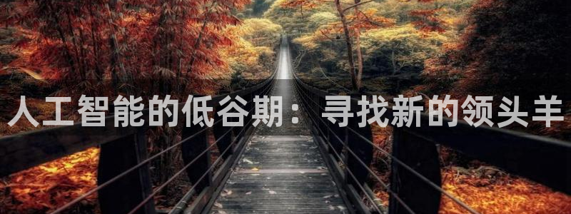 人工智能的低谷期：寻找新的领头羊