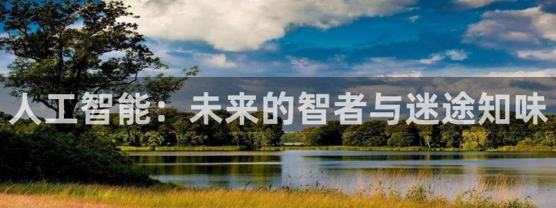 人工智能：未来的智者与迷途知味