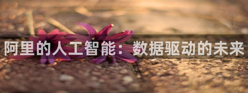 阿里的人工智能：数据驱动的未来