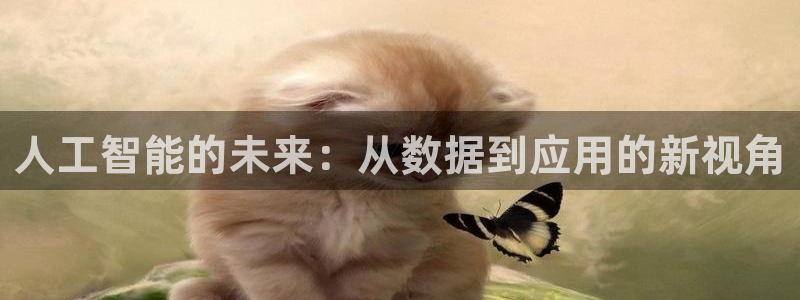 人工智能的未来：从数据到应用的新视角