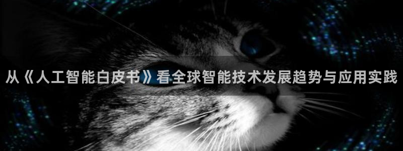 从《人工智能白皮书》看全球智能技术发展趋势与应用实践