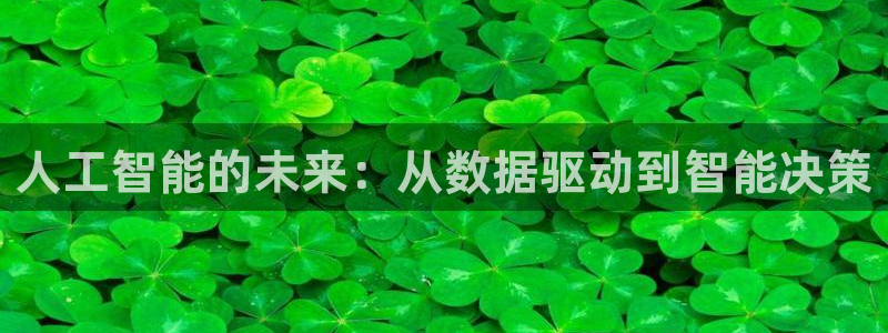 人工智能的未来：从数据驱动到智能决策