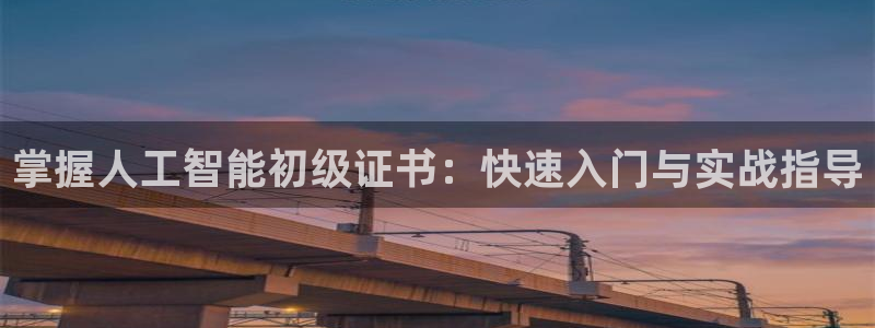 掌握人工智能初级证书：快速入门与实战指导
