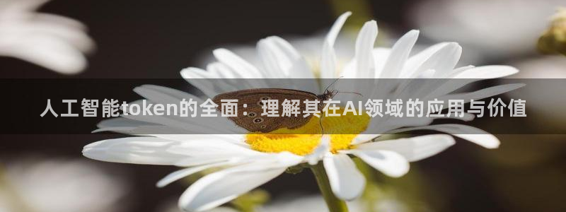 人工智能token的全面：理解其在AI领域的应用与价值