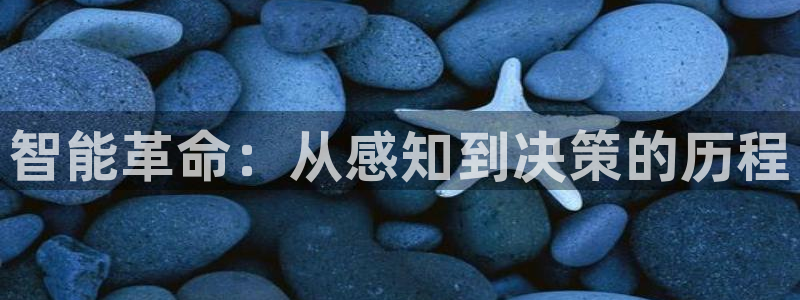 智能革命：从感知到决策的历程