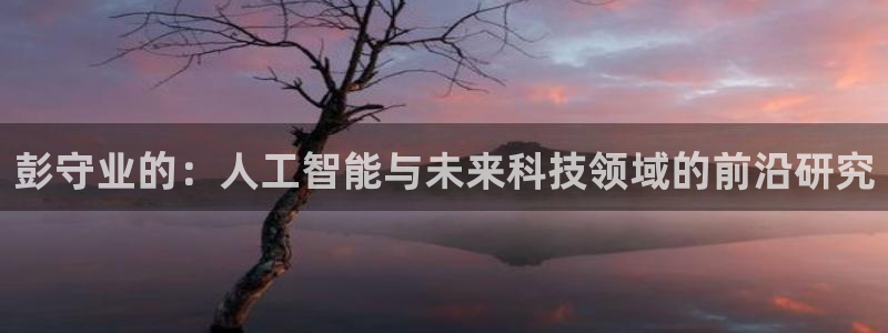彭守业的：人工智能与未来科技领域的前沿研究