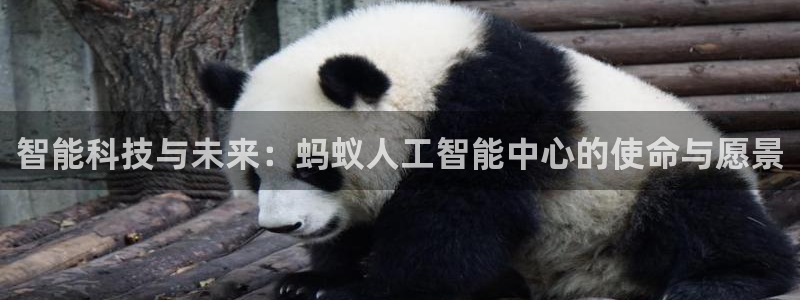 智能科技与未来：蚂蚁人工智能中心的使命与愿景