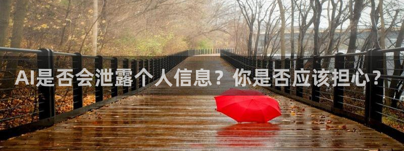 AI是否会泄露个人信息？你是否应该担心？