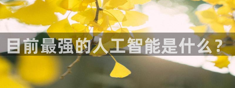 目前最强的人工智能是什么？