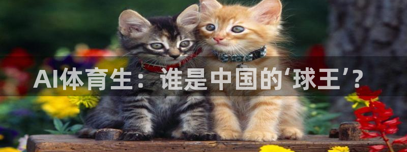AI体育生：谁是中国的‘球王’？