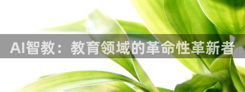 AI智教：教育领域的革命性革新者
