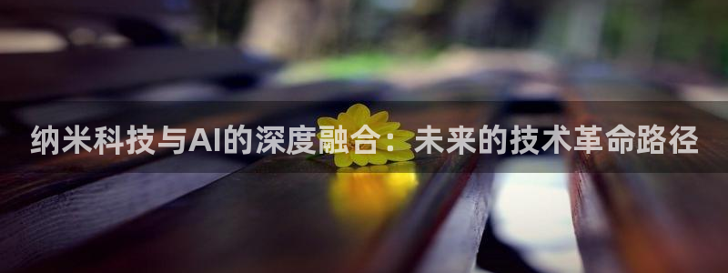 纳米科技与AI的深度融合：未来的技术革命路径