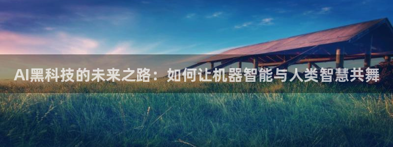 AI黑科技的未来之路：如何让机器智能与人类智慧共舞