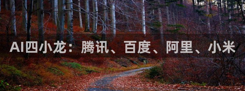AI四小龙：腾讯、百度、阿里、小米