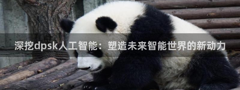 深挖dpsk人工智能：塑造未来智能世界的新动力