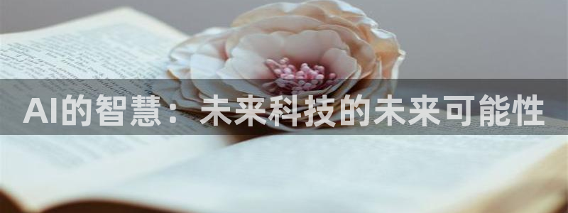 AI的智慧：未来科技的未来可能性