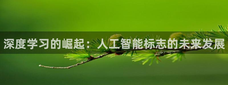 深度学习的崛起：人工智能标志的未来发展