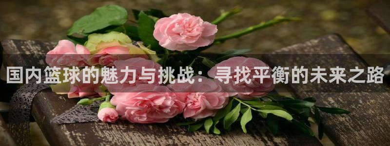 国内篮球的魅力与挑战：寻找平衡的未来之路