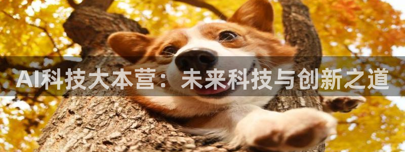 AI科技大本营：未来科技与创新之道