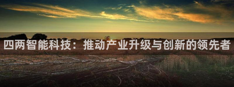 四两智能科技：推动产业升级与创新的领先者