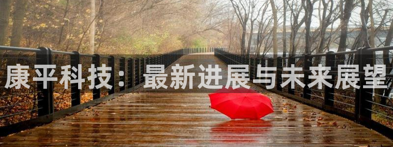 康平科技：最新进展与未来展望